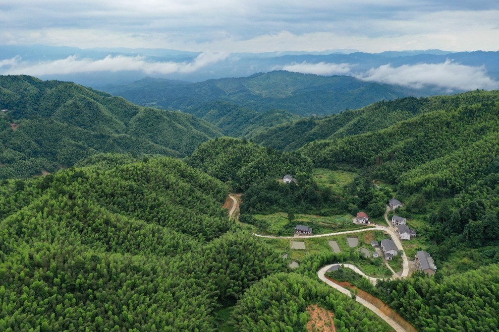 郑州新闻   2017年2月26日,包括神山村在内的井冈山在全国率先脱贫"
